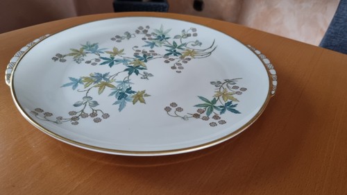 Kuchenplatte